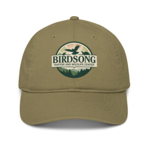 organic cotton classic ball cap birdsongrwc logo